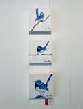 Little Birdy Blue Wren Series #2