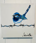 Little Birdy Blue Wren Series #2