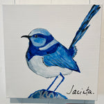 Little Birdy Blue Wren Series #1